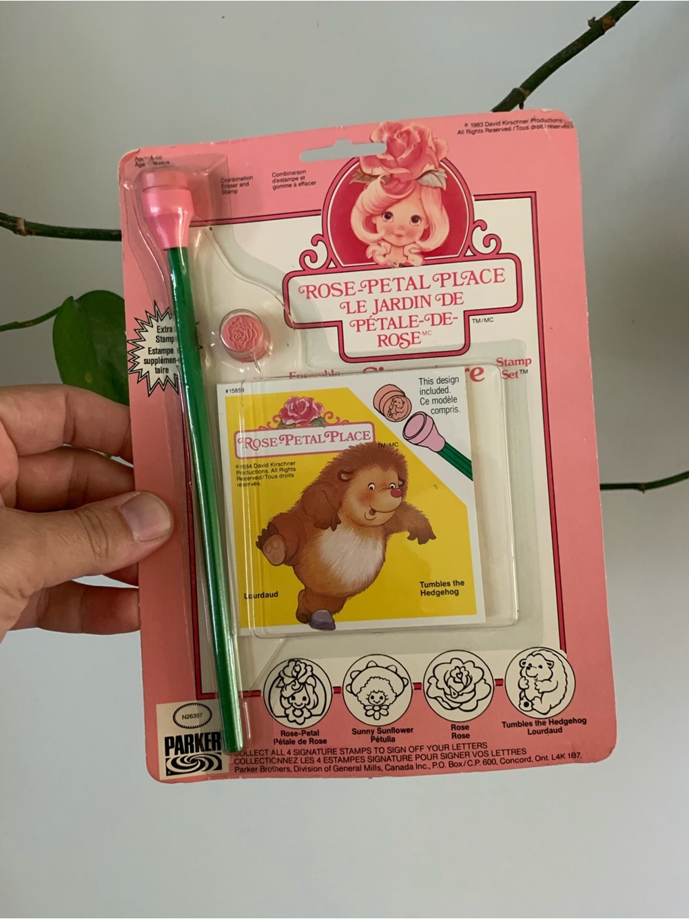 Vintage Rose-Petal Place Pink Party Stamp Set by Parker